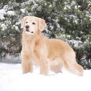 Meet your Posher, Louanne